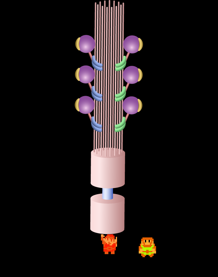 ♪ DOO DOO DOO DOO! ♪ (cilium)