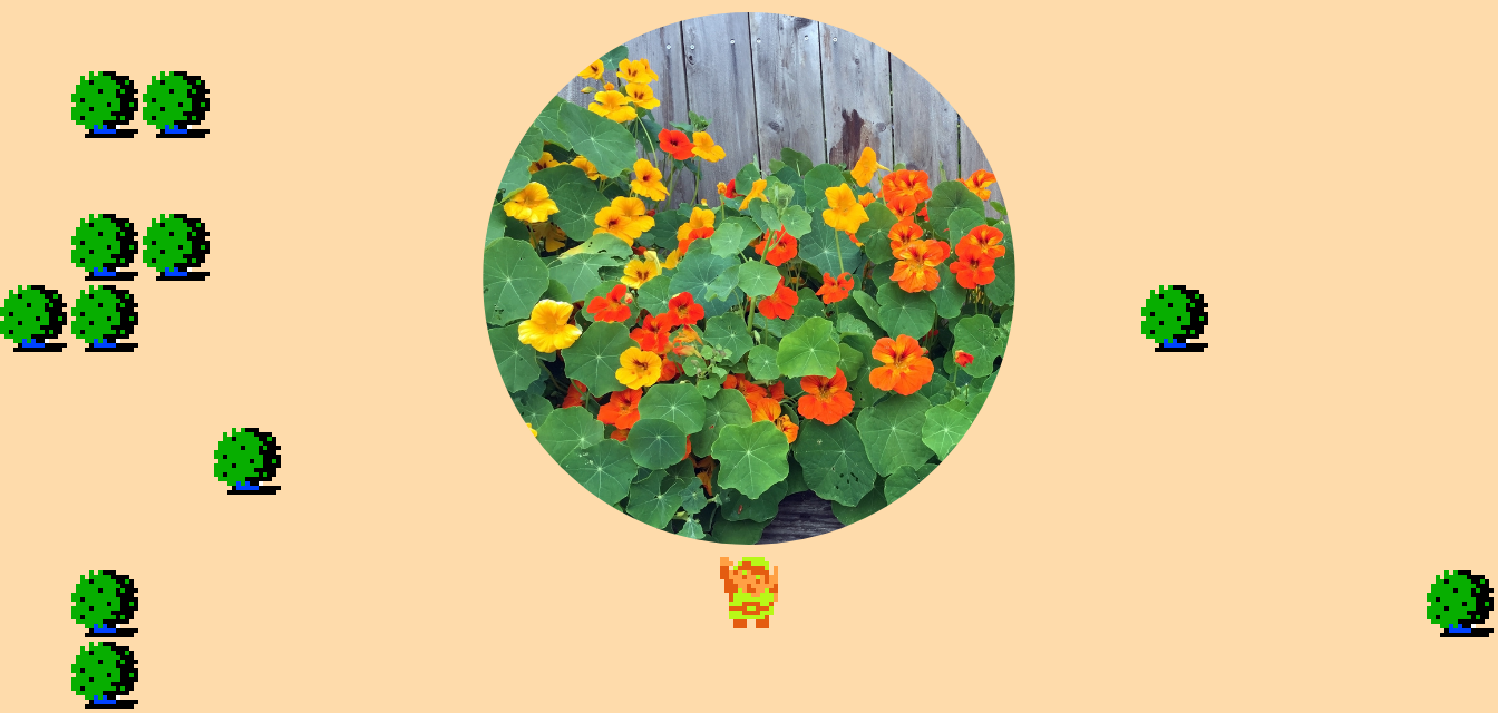 🎵 DOO DOO DOO DOO! ♩ (nasturtium)