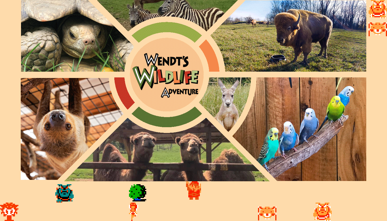 ♫ DOO DOO DOO DOO! ♪ (wildlife)