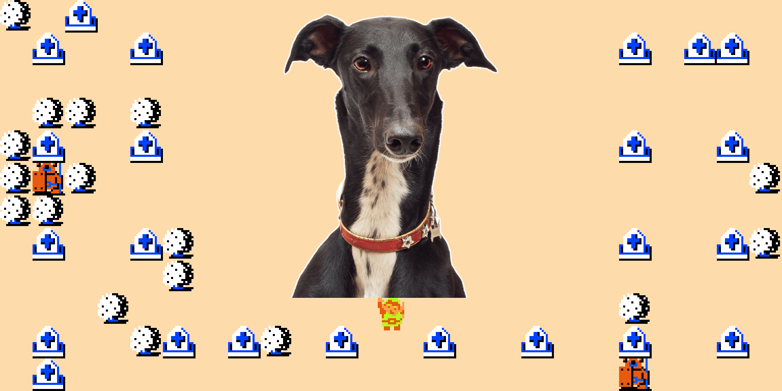 ♪ DOO DOO DOO DOO! ♪ (Salukis)