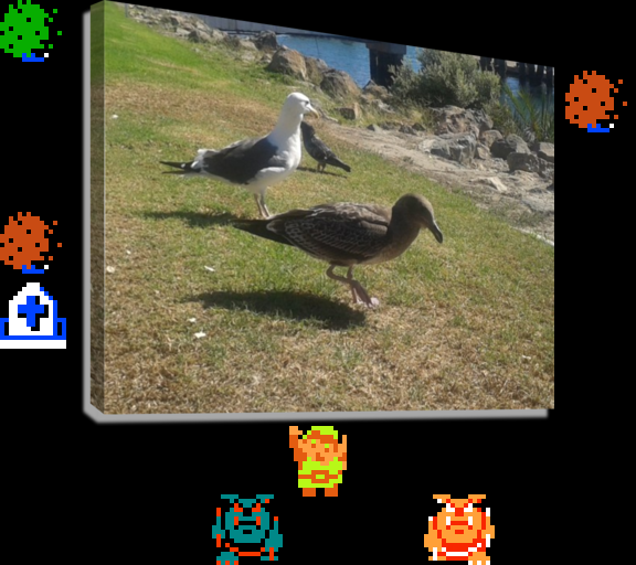 🎵 DOO DOO DOO DOO! ♩ (seagulls)