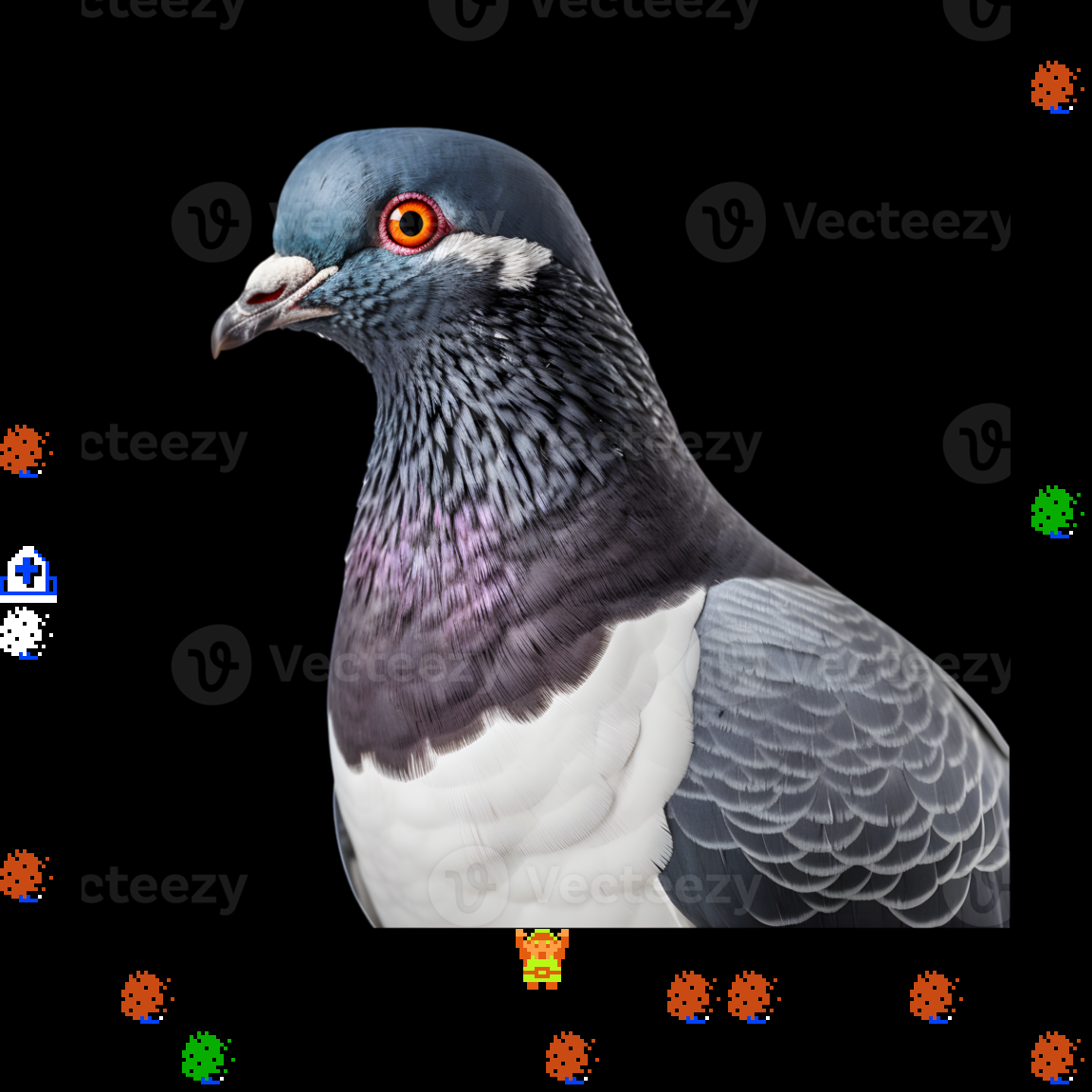 ♫ DOO DOO DOO DOO! ♪ (plumage)