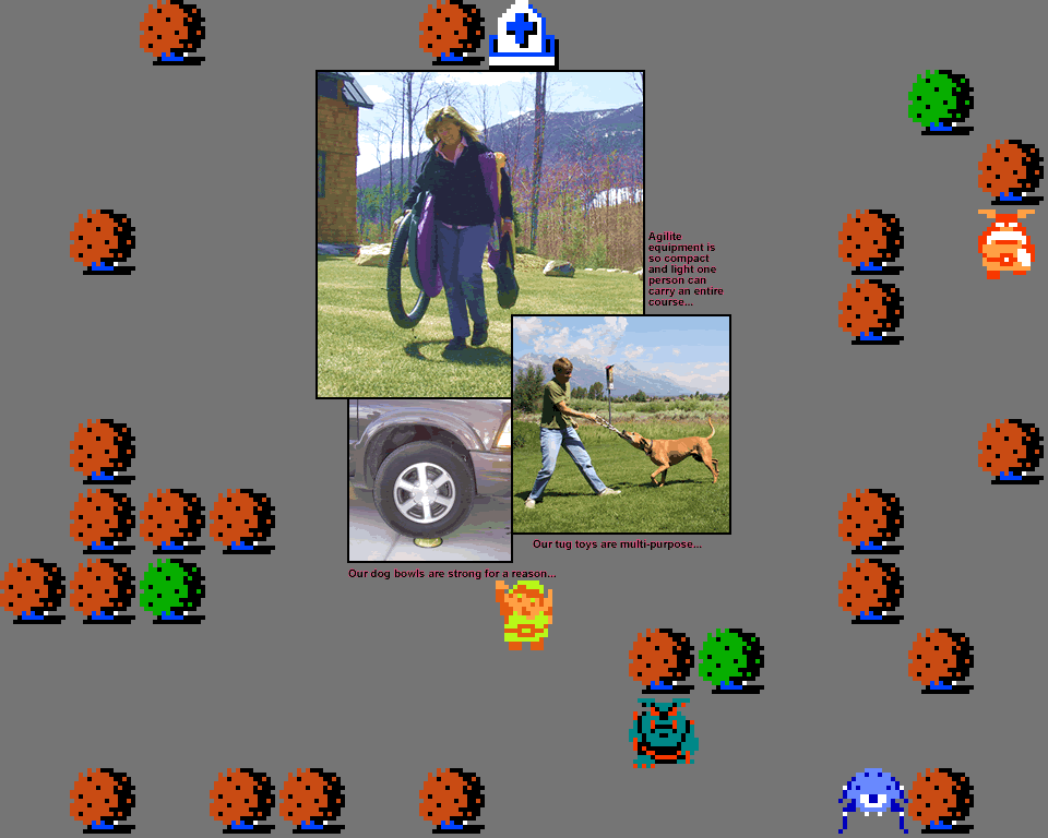 ♪ DOO DOO DOO DOO! ♪ (agility)