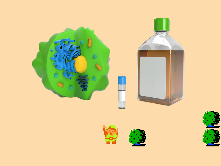 𝄞 DOO DOO DOO DOO! 𝄑 (amygdala)