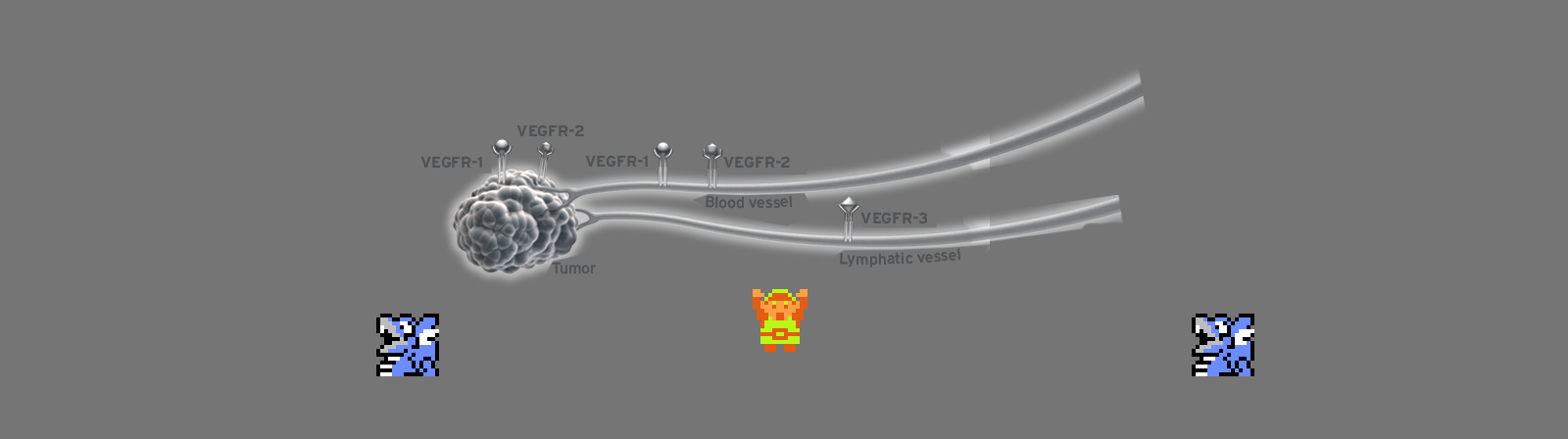 𝄞 DOO DOO DOO DOO! ♪ (angiogenesis)