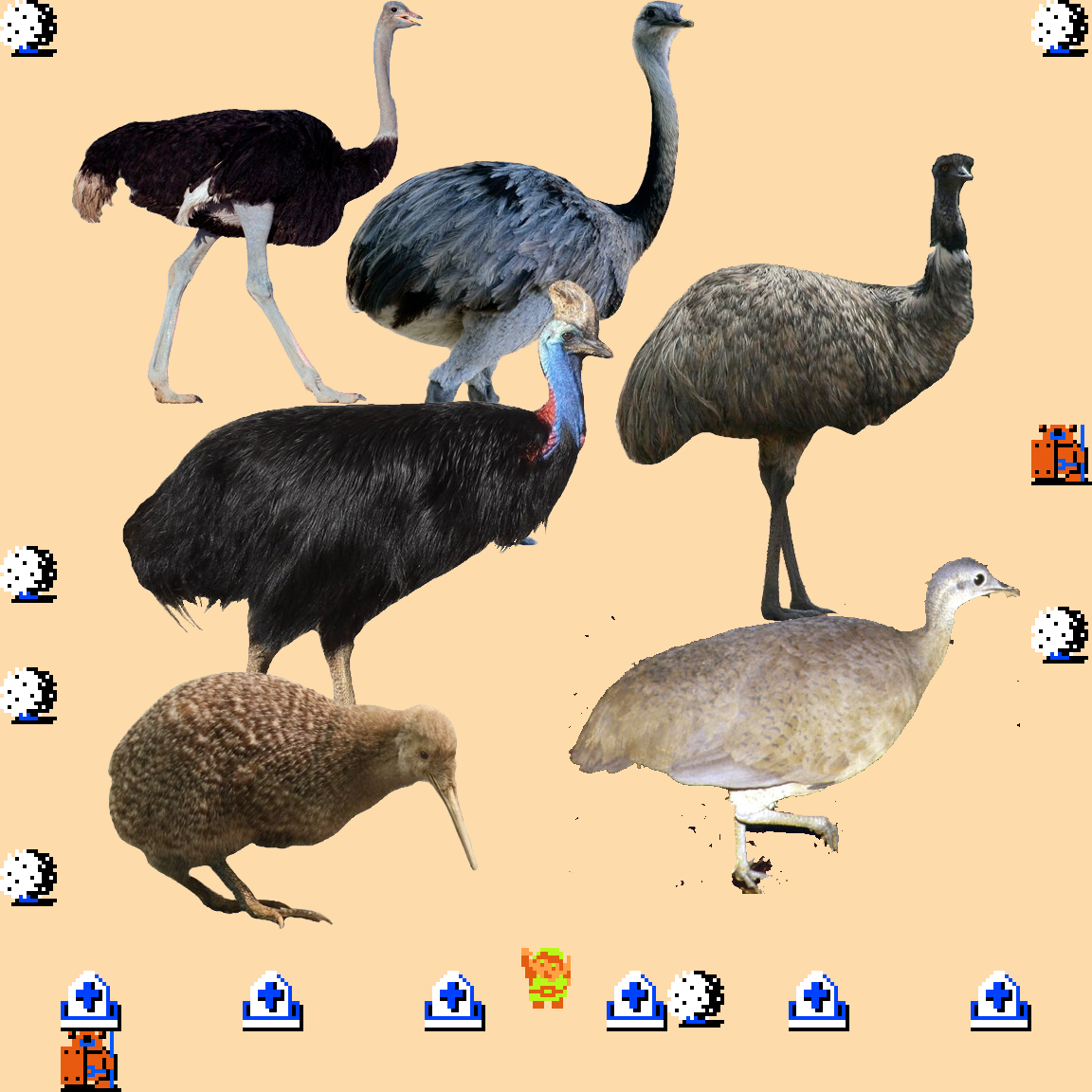🎵 DOO DOO DOO DOO! ♩ (biogeography)