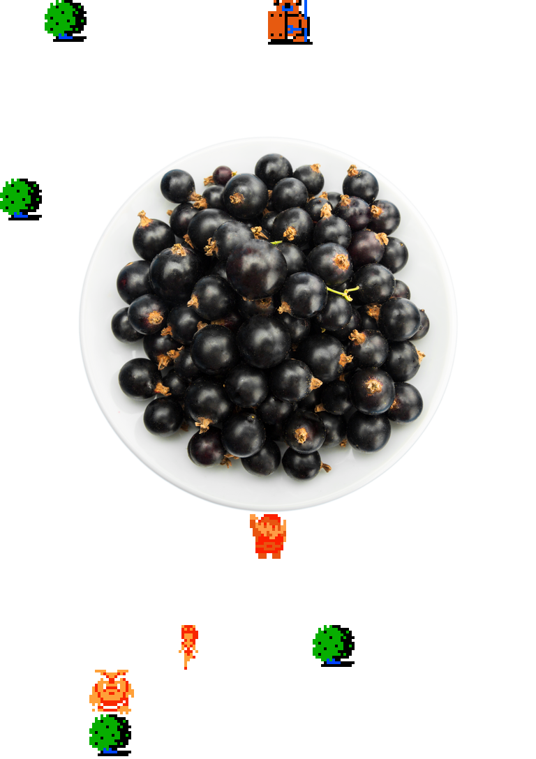 𝄞 DOO DOO DOO DOO! ♩ (blackcurrant)