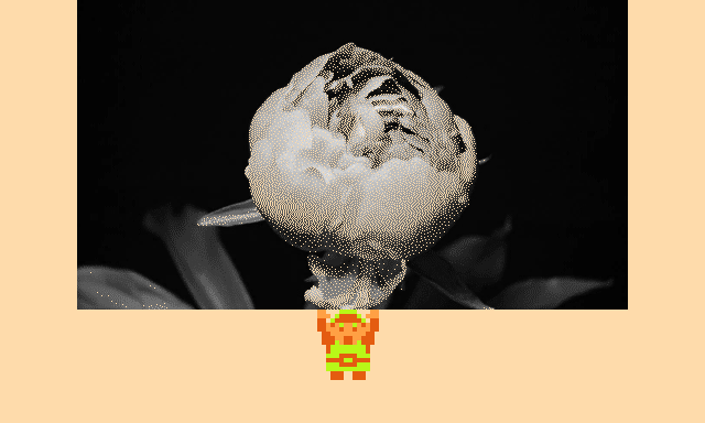 ♫ DOO DOO DOO DOO! 𝄑 (blossoming)