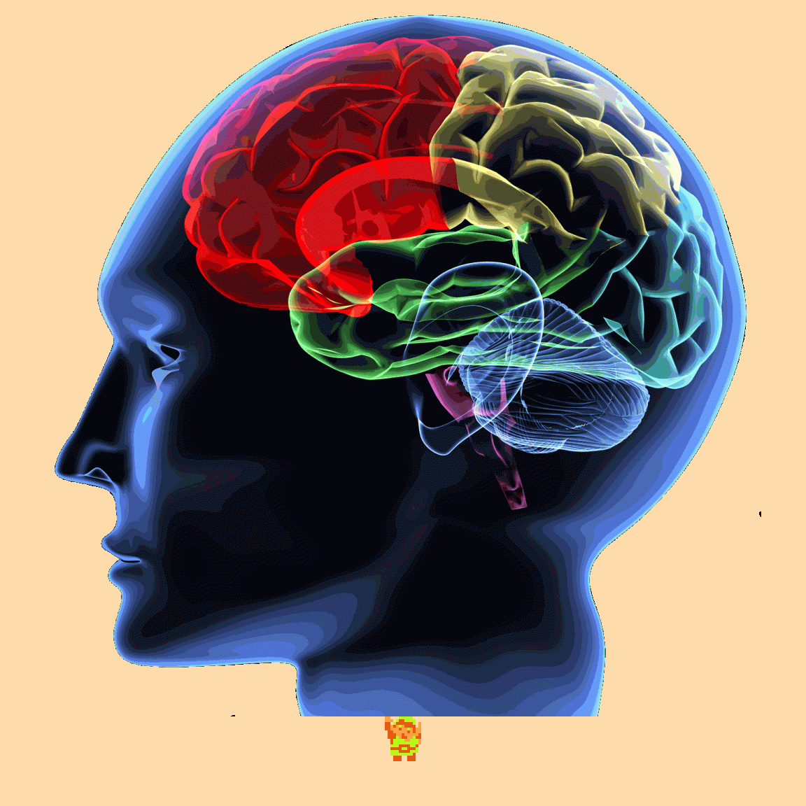 𝄞 DOO DOO DOO DOO! ♩ (brains)