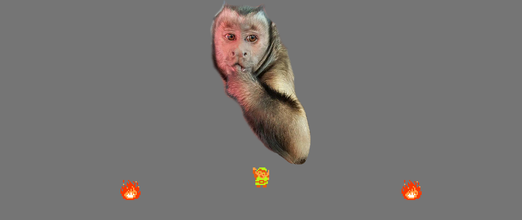 ♪ DOO DOO DOO DOO! ♩ (capuchin)
