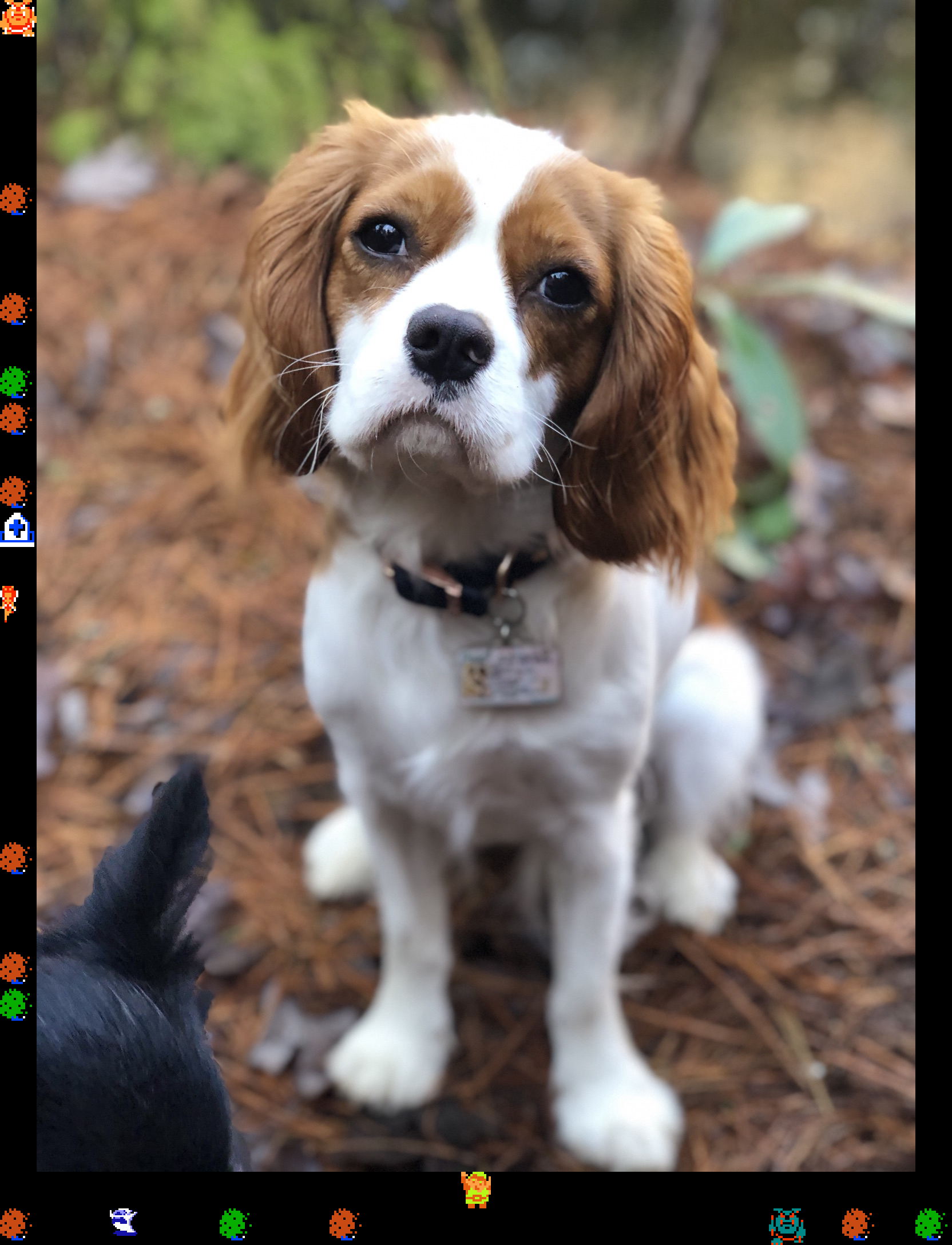 ♫ DOO DOO DOO DOO! ♪ (cavalier)