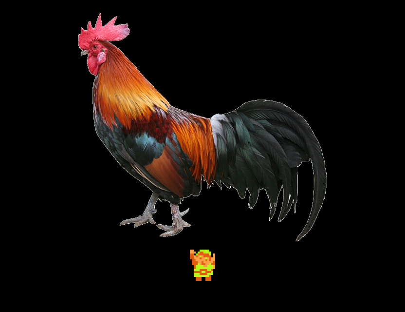 ♫ DOO DOO DOO DOO! ♪ (clucking)