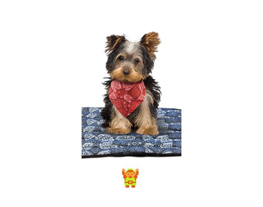 🎵 DOO DOO DOO DOO! 𝄑 (doggie)