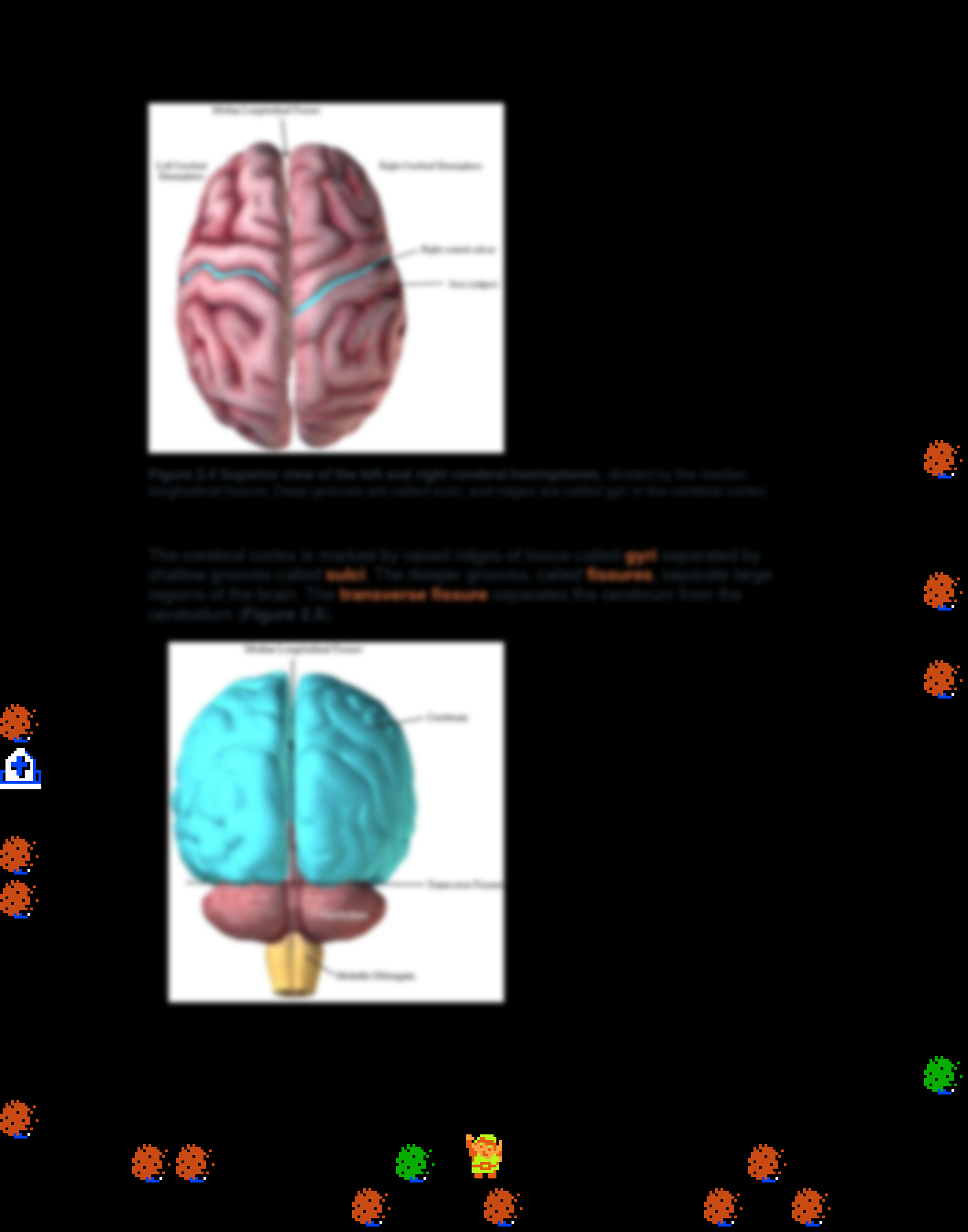 ♪ DOO DOO DOO DOO! ♪ (ventricles)