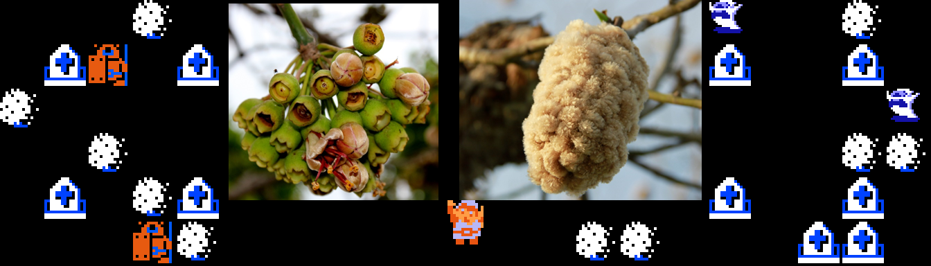 ♪ DOO DOO DOO DOO! ♪ (Ceiba)