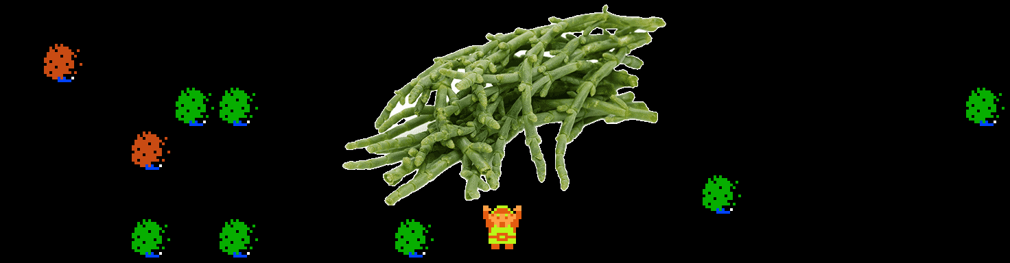 ♪ DOO DOO DOO DOO! ♩ (samphire)