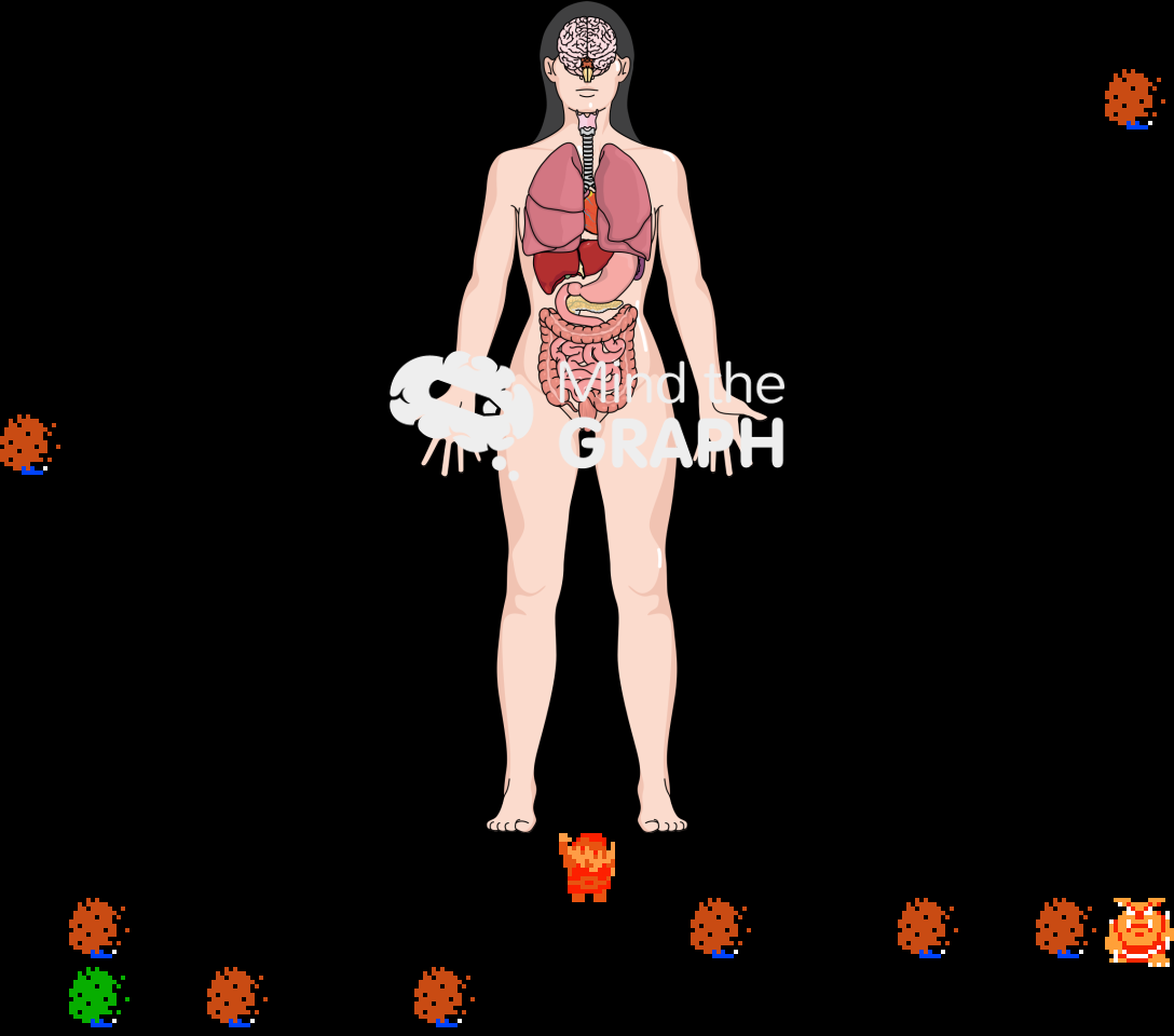 𝄞 DOO DOO DOO DOO! ♩ (organs)