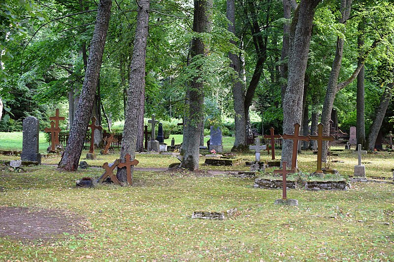 tag ur self I'm the forest