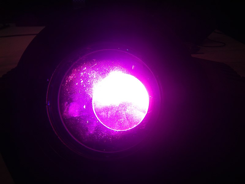tag ur self I'm the purple
