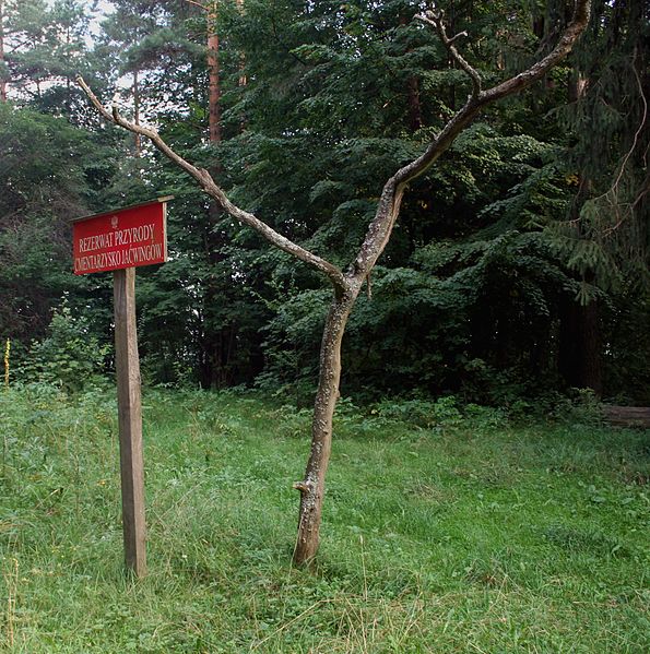 tag ur self I'm the trail