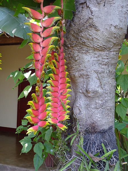 tag ur self I'm the tree