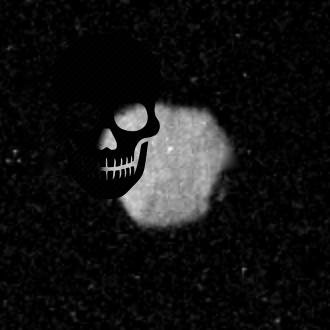 ??? – 1989N1! PIA00055