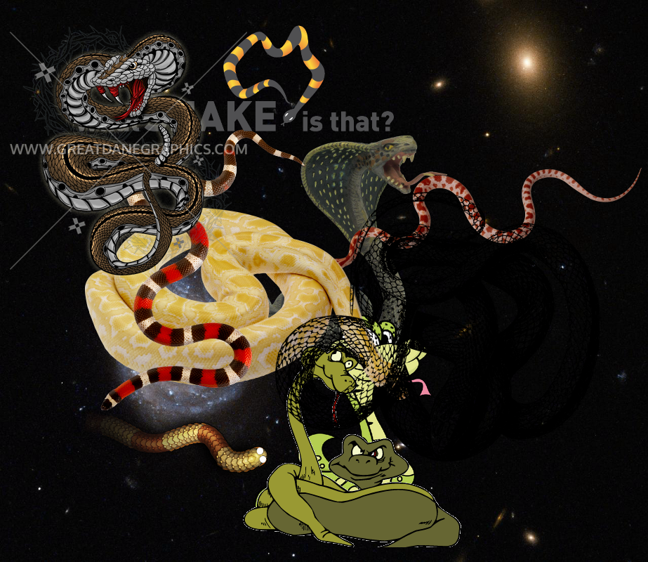 An Unexpected Discovery, An Unexpected Discovery, A Mystery, A Mystery, A Mystery, ???, An Unexpected Discovery… GSFC_20171208_Archive_e000025
