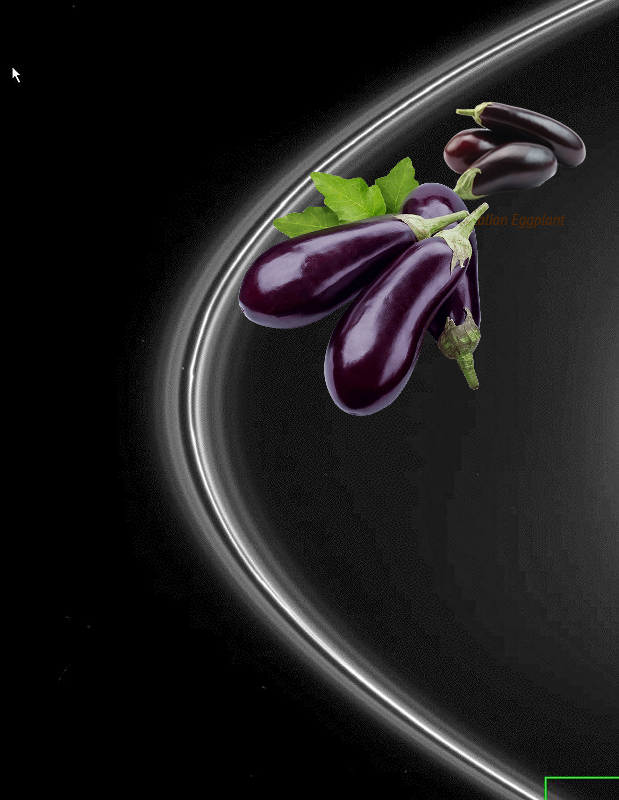 An Unexpected Discovery, An Unexpected Discovery @ Unidentified F Ring Objects. PIA07713