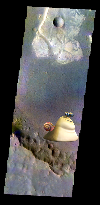 Something Strange @ Crater Floor in Color. PIA05880