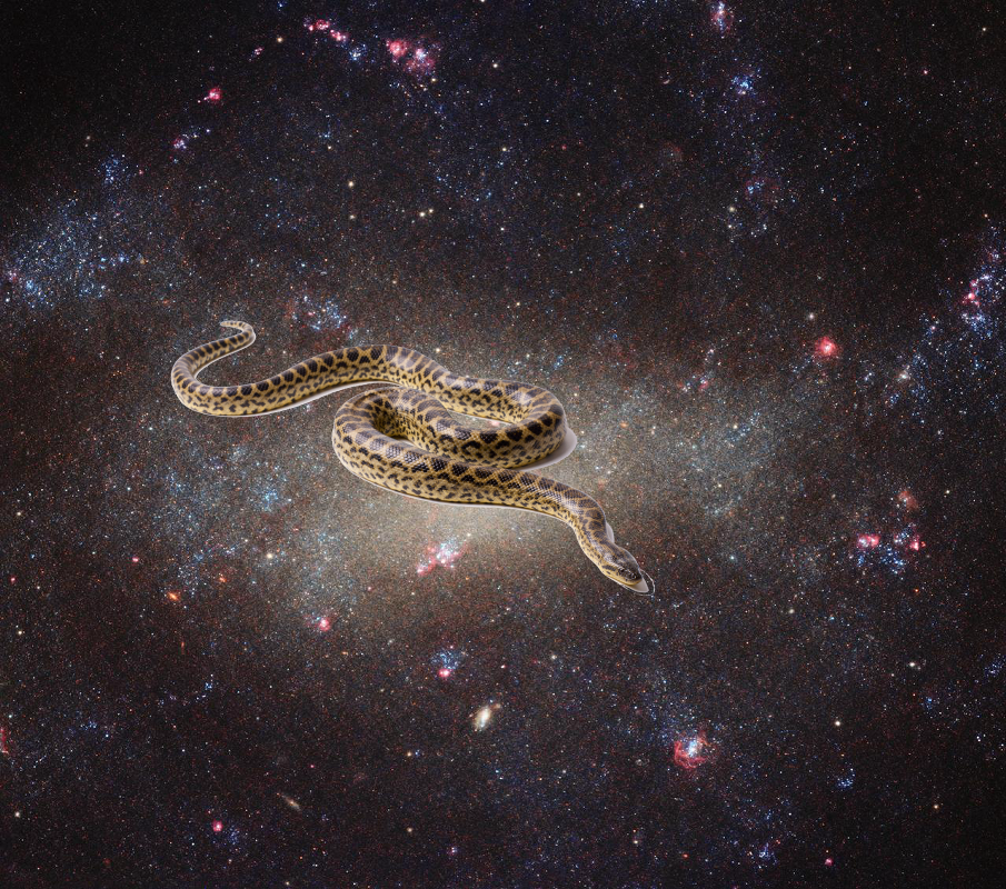 An Unexpected Discovery | Hubble’s Hunting Dog Galaxy. GSFC_20171208_Archive_e000017