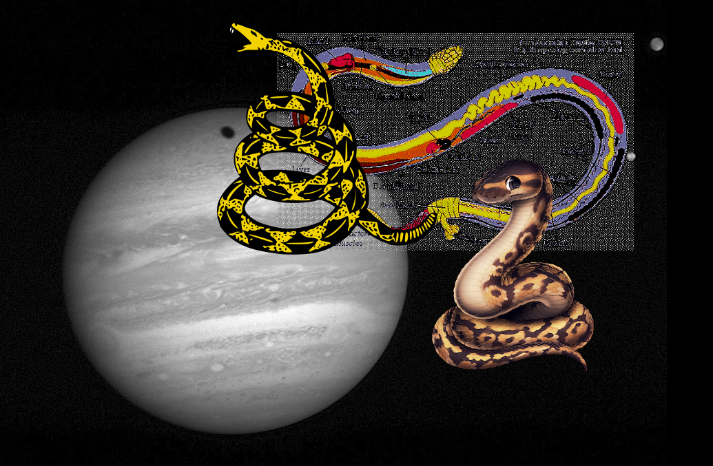Something Strange, A Mystery, Something Strange + Storms and Moons PIA09240