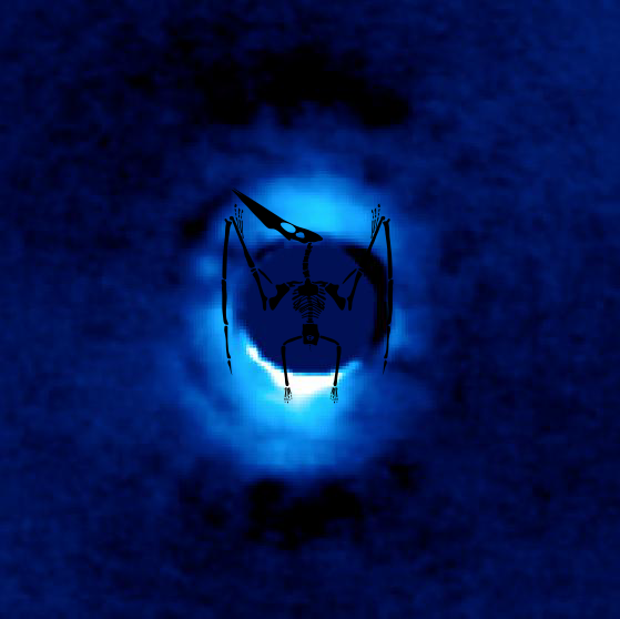 An Unexpected Discovery on Young Star HD 141569. PIA21090
