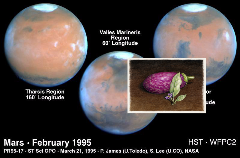 ??? on Mars At Opposition! PIA01252