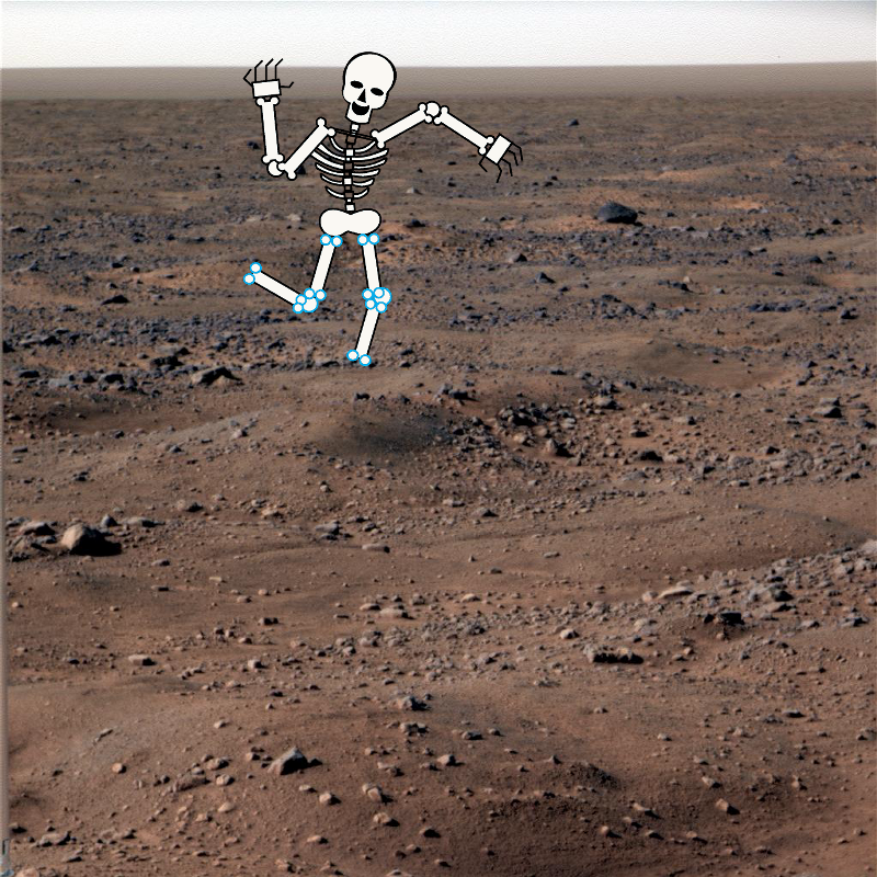 An Unexpected Discovery ; Frost on Mars. PIA11132