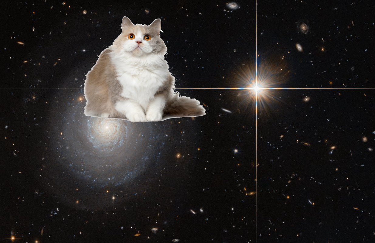 An Unexpected Discovery + Hubble Spots a Secluded Starburst Galaxy GSFC_20171208_Archive_e000268