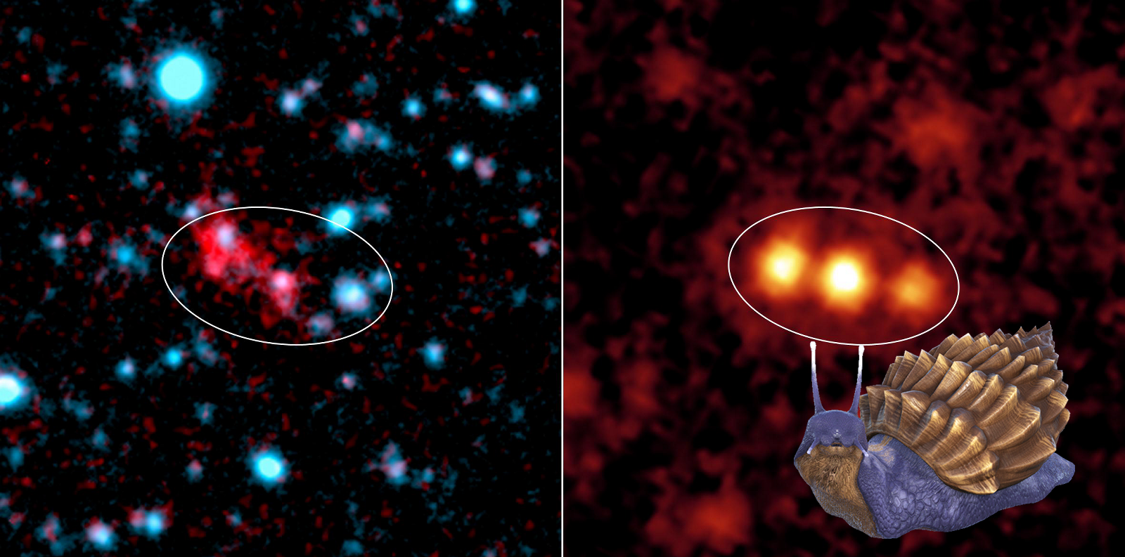 A Mystery on Mysterious Blob Galaxies Revealed. PIA07220