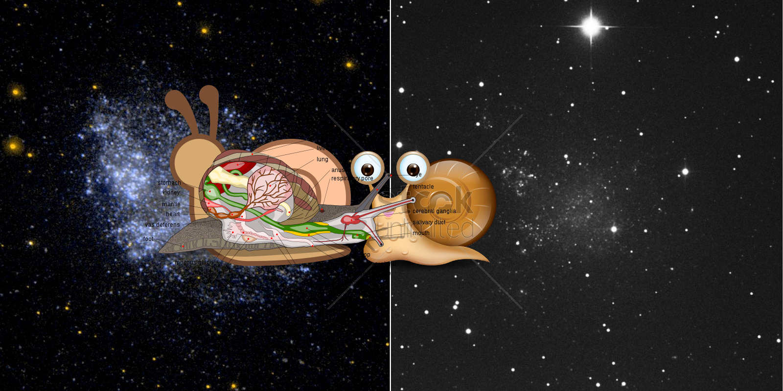 ???, Something Strange, An Unexpected Discovery ; Irregular Dwarf Galaxy IC 1613! PIA07911