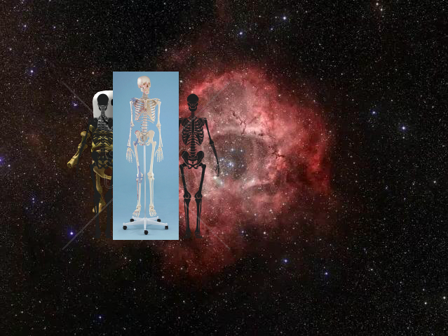 An Unexpected Discovery, An Unexpected Discovery, An Unexpected Discovery – Infrared Rose PIA09268