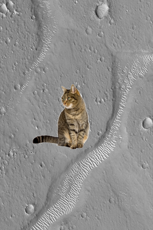 Something Strange – Large Bright Ripples! PIA05263