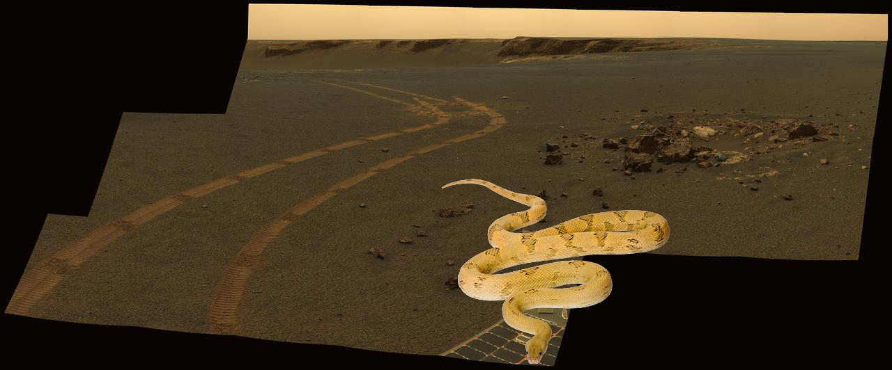 A Mystery ; D-Star Panorama by Opportunity PIA10213