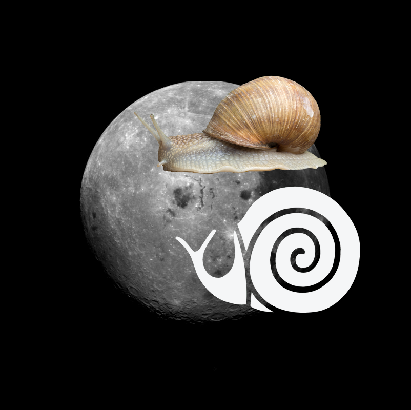 Something Strange, An Unexpected Discovery on Far Side of the Moon! PIA00225