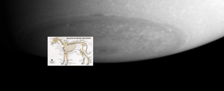 An Unexpected Discovery ; South Pole on Saturn! PIA05414