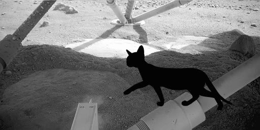 Something Strange @ Martian Surface Beneath Phoenix! PIA10759
