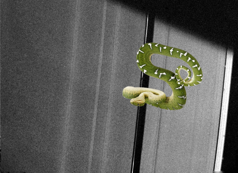 An Unexpected Discovery – Saturn A-ring PIA01952