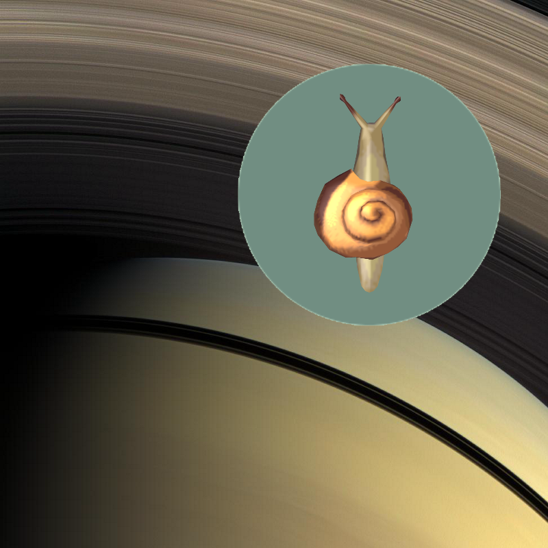 A Mystery ; Pastel Rings PIA11478