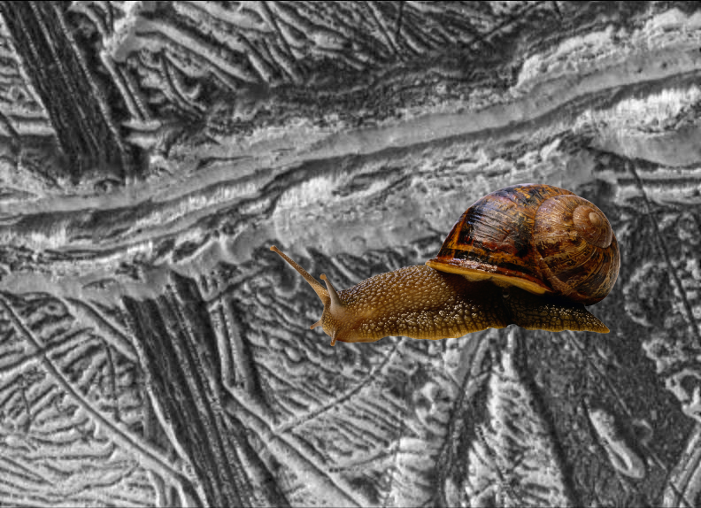 A Mystery | Dark and Bright Ridges on Europa. PIA01179