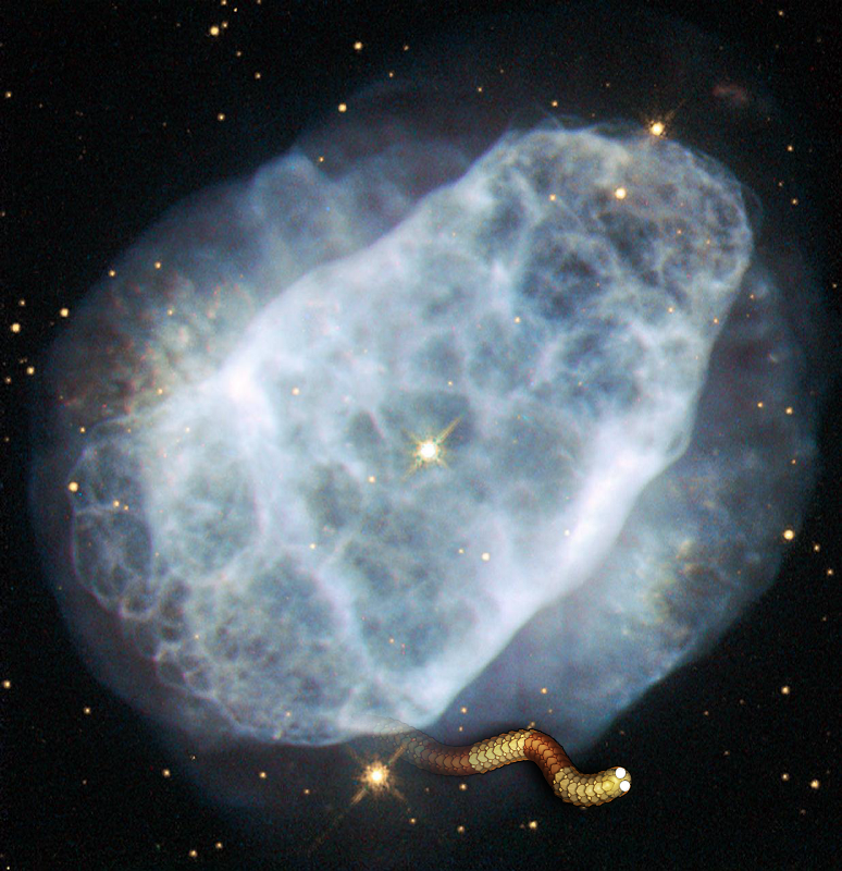 An Unexpected Discovery + Hubble View of a Nitrogen-Rich Nebula GSFC_20171208_Archive_e000699