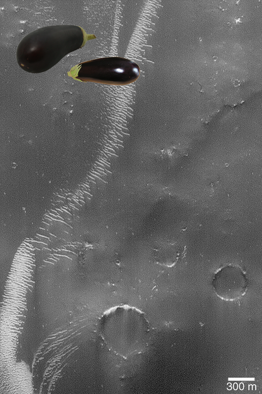 ??? @ Large, Bright Wind Ripples! PIA04584