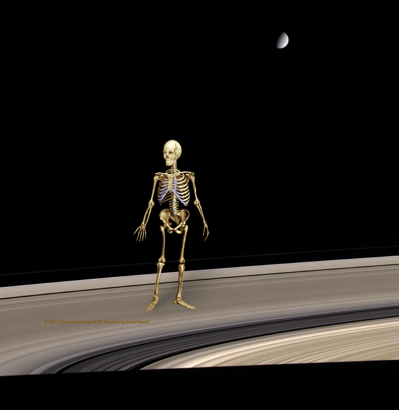 Something Strange, An Unexpected Discovery @ Bright Ice, Dirty Ice. PIA06653