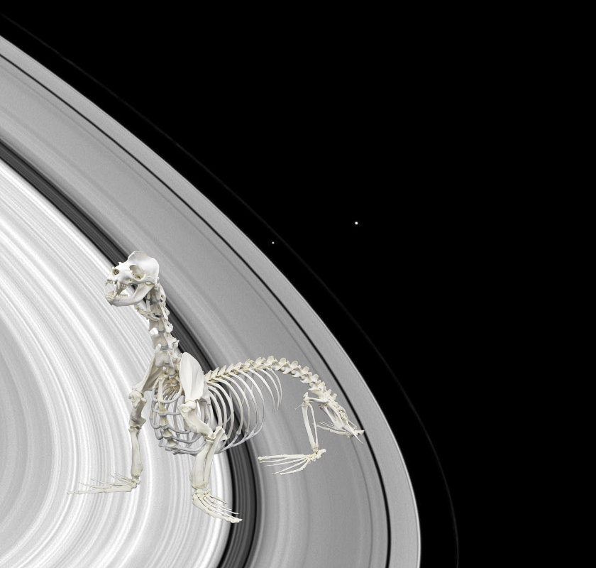A Mystery + Moons by the Bunch! PIA11480